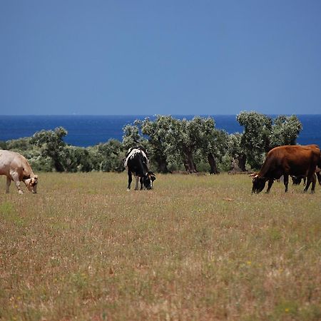 Masseria Palombara Grande Ostuni Εξωτερικό φωτογραφία