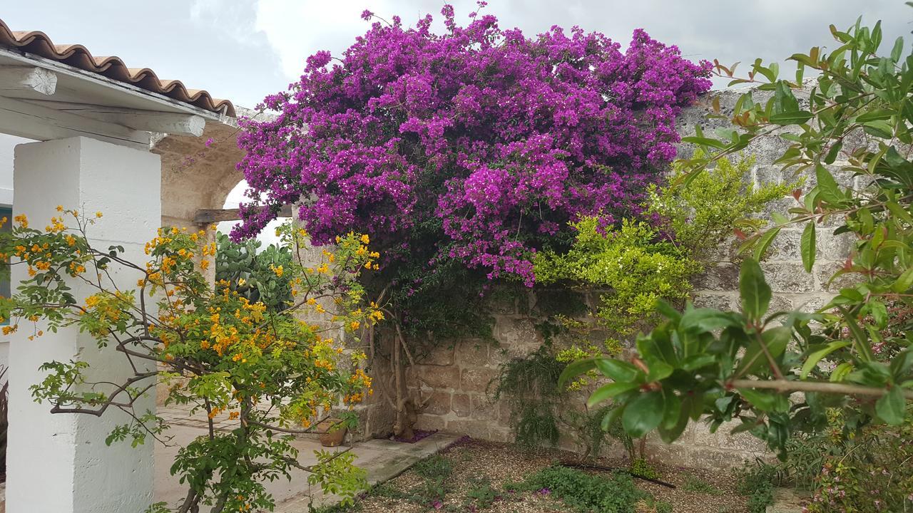 Masseria Palombara Grande Ostuni Εξωτερικό φωτογραφία