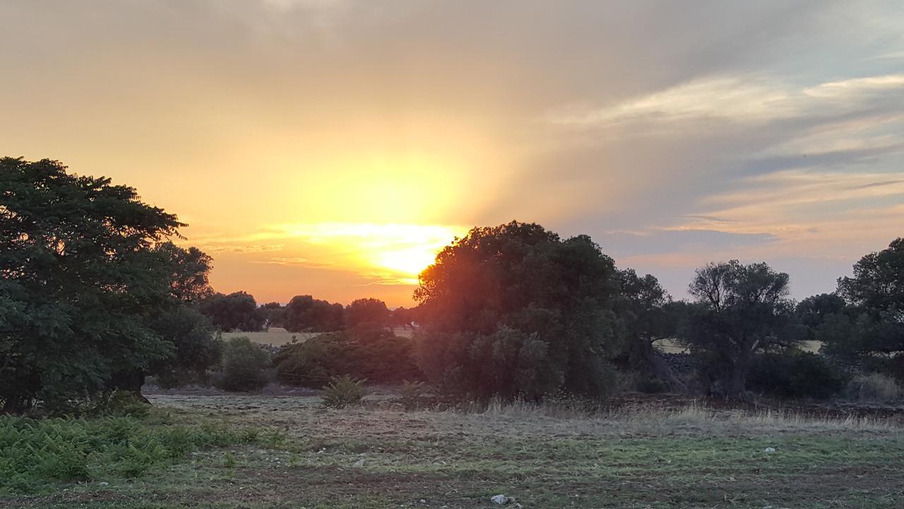 Masseria Palombara Grande Ostuni Εξωτερικό φωτογραφία
