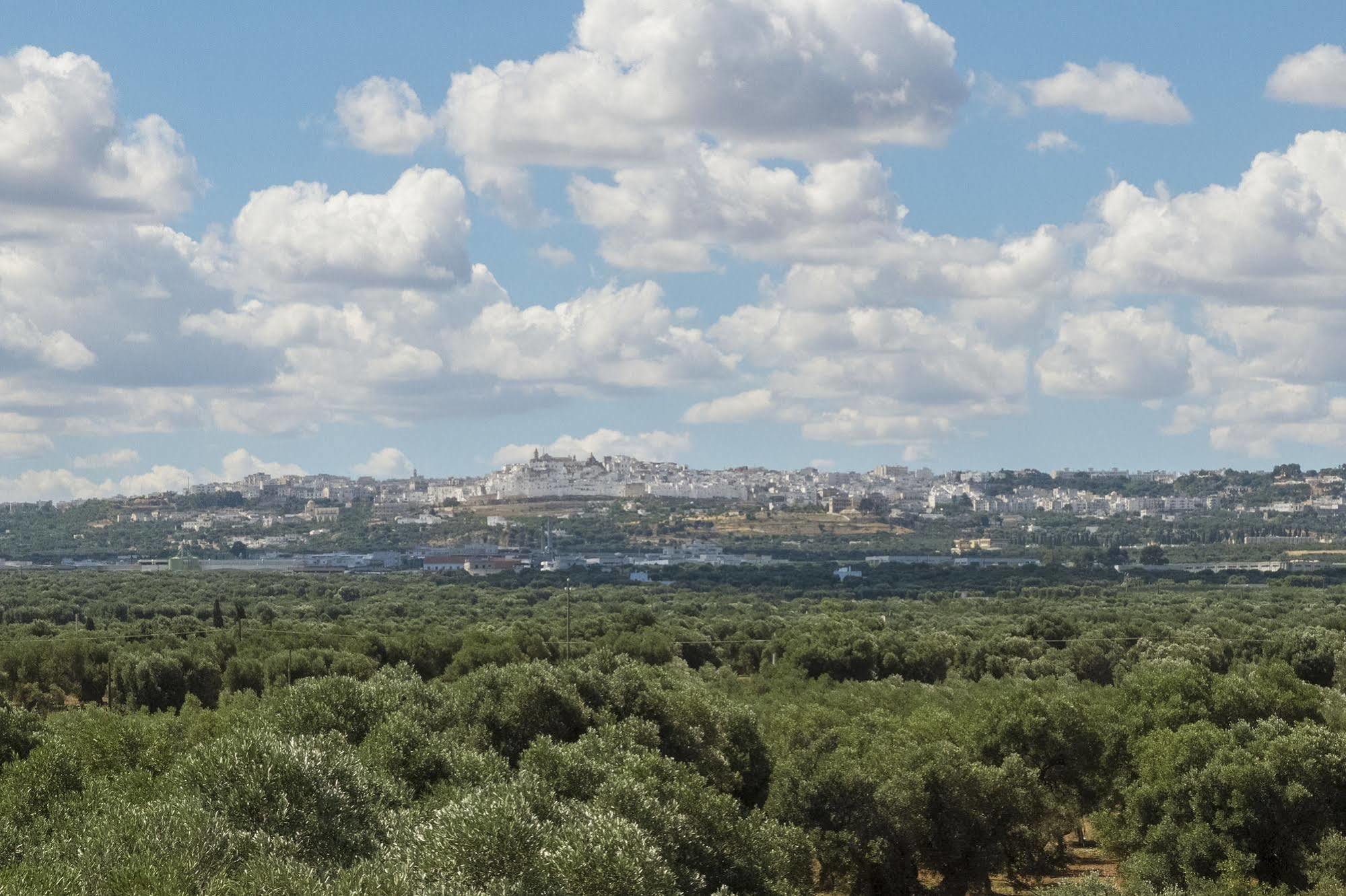 Masseria Palombara Grande Ostuni Εξωτερικό φωτογραφία